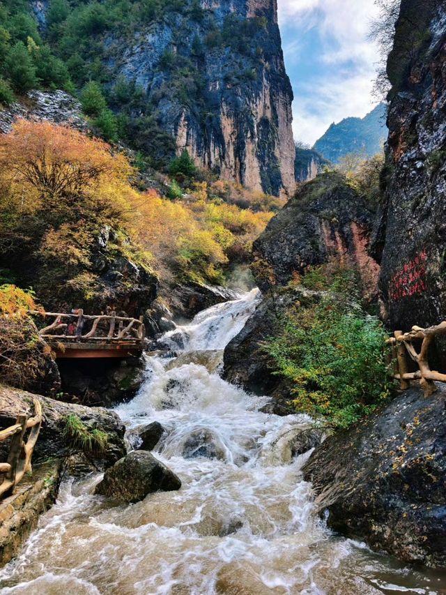 秋色掩映遮陽山