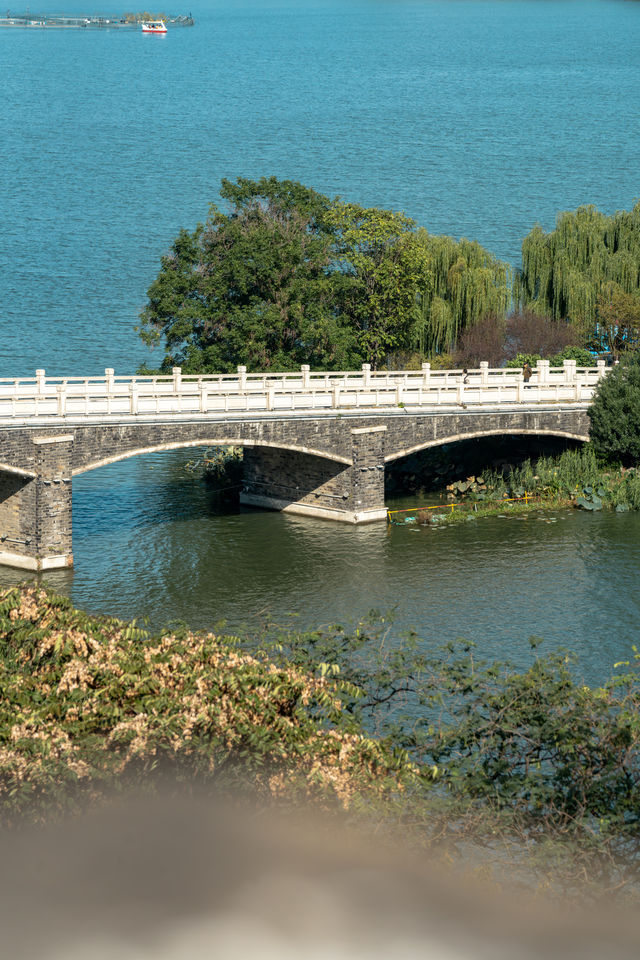 南京｜古今同框必拍機位600年城牆漫步指南