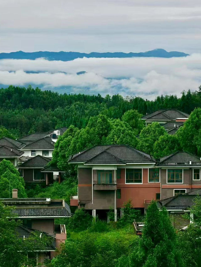 騰衝銀杏季躺平指南！三宅一界頂奢度假