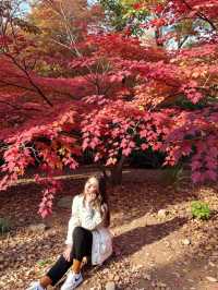 北京秋遊秘境0元紅葉山谷美哭 今年秋天別再擠香山啦!姐妹們,我最近發現了一個寶藏秘境——密雲的