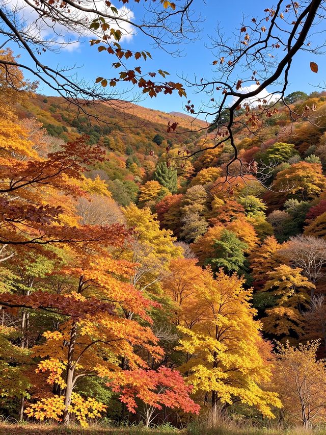 別再去香山了！北京免費紅葉秘境絕美