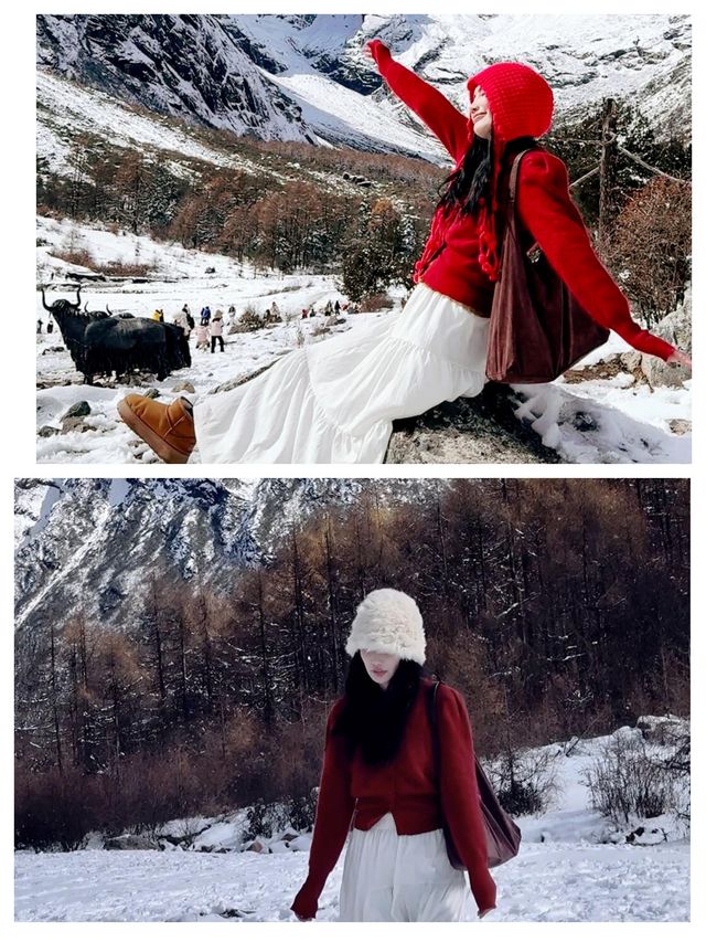 雪後的畢棚溝,美成了北歐 雪後的畢棚溝,美成了北歐