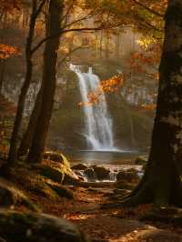 川西親子慢遊彩林溫泉+畢棚溝徒步超讚