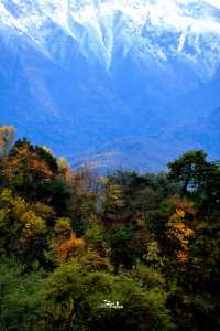 這裡的秋色不等人