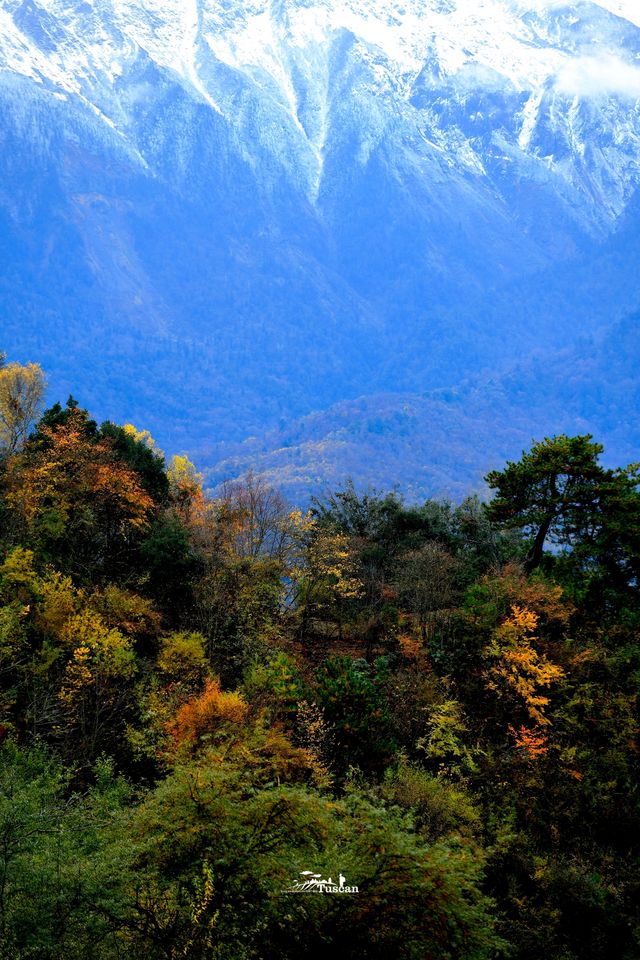 這裡的秋色不等人