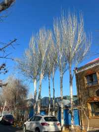 7天玩轉烏魯木齊等地高能攻略直擊你的心