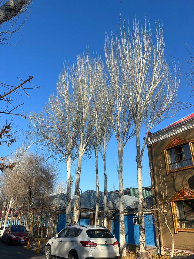 7天玩轉烏魯木齊等地高能攻略直擊你的心