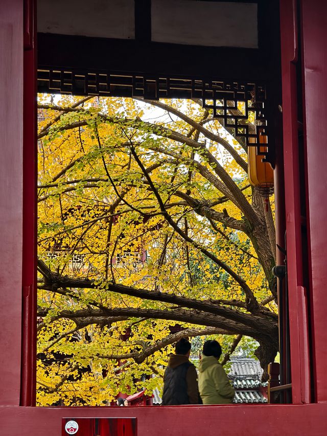 為了這扇秋日限定的窗，我專門去了趟崇州