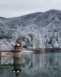 廬山霧淞仙境！這家百年別墅酒店封神了