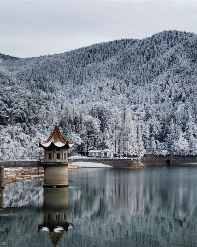 廬山霧淞仙境！這家百年別墅酒店封神了