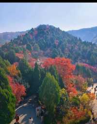 北國秋日仙境!紅葉谷絕美打卡攻略