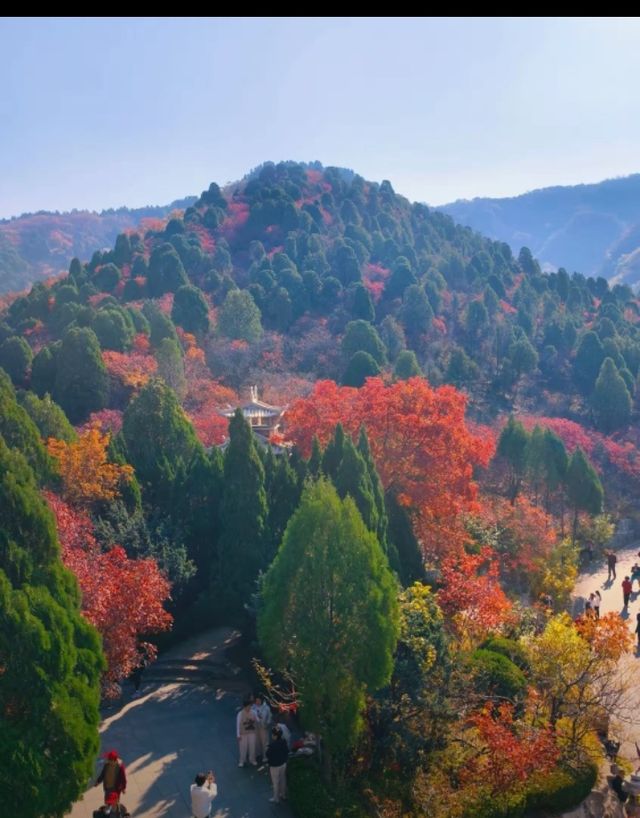 北國秋日仙境!紅葉谷絕美打卡攻略 北國秋日仙境!紅葉谷絕美打卡攻略