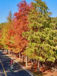 南京99%的人都不知道這裡， 出片還人少