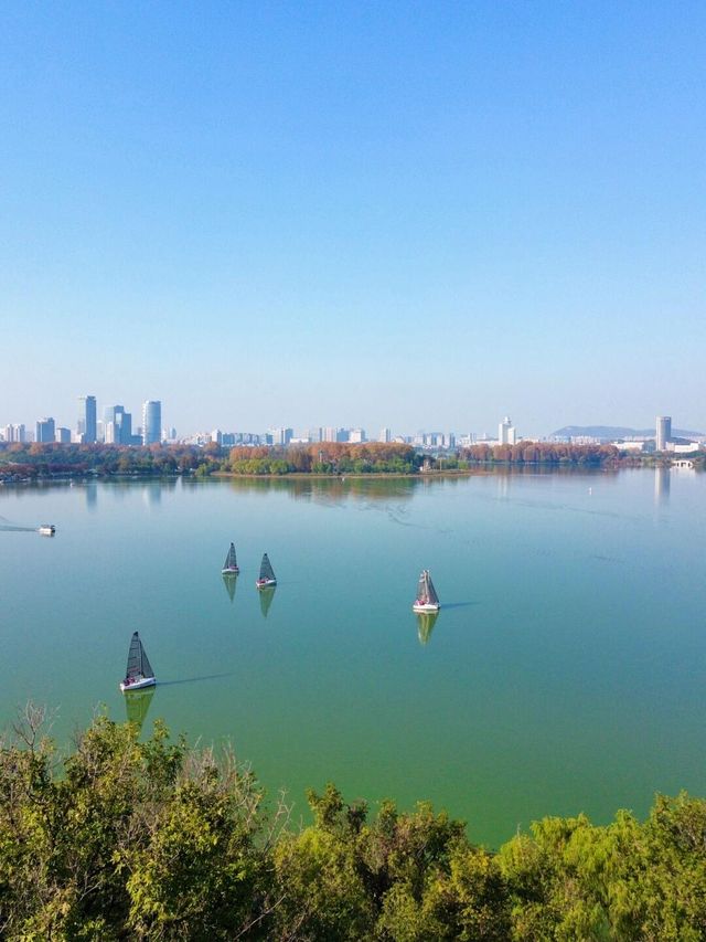 這可能是我在南京花得最值得的15塊錢…