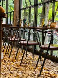 在佛山，如何過一個文藝感拉滿的秋日午後？