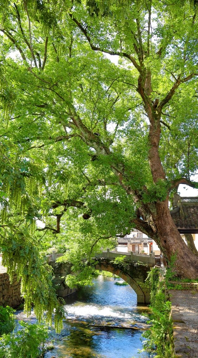 杭州龍門古鎮:景色醉人的江南秘境