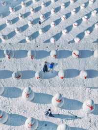 長白山封神酒店！推窗見雪的森林秘境