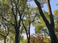 上海野生動物園的快樂