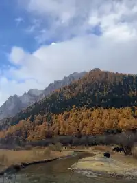 一人行公共交通稻城亞丁三天分享25.10.30