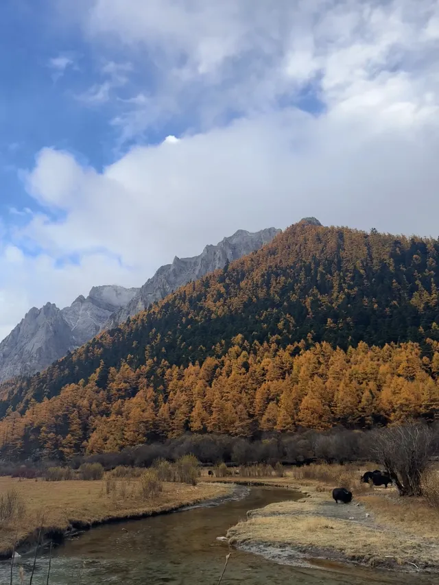 一人行公共交通稻城亞丁三天分享25.10.30 一人行公共交通稻城亞丁三天分享25.10.30