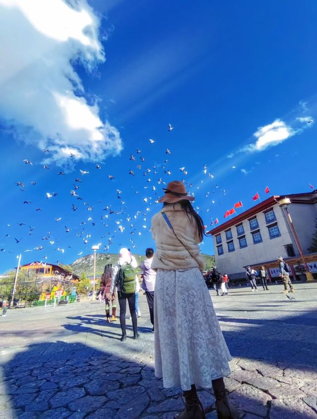 香格里拉3天2夜｜住香格里拉歸塵民宿高反退散！納帕海／獨克宗