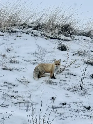 Шесть дней и пять ночей на Алтае на одного человека (расходы прилагаются)