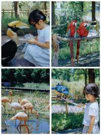 杭州灣2天1夜親子遊攻略｜濕地公園+凱悅酒店的神仙組合！