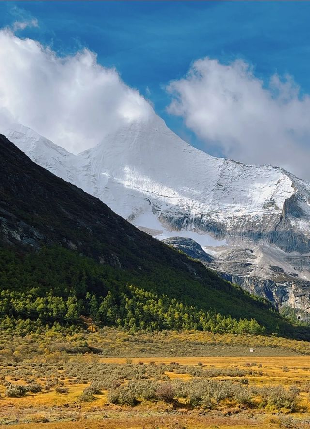 稻城亞丁秘境沖古草甸才是真正的世外桃源! 稻城亞丁秘境沖古草甸才是真正的世外桃源!