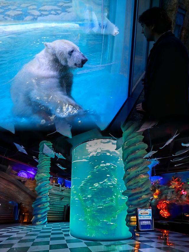 逛童話鎮、看大馬戲,歐樂堡一天玩遍海陸雙趣 逛童話鎮、看大馬戲,歐樂堡一天玩遍海陸雙趣