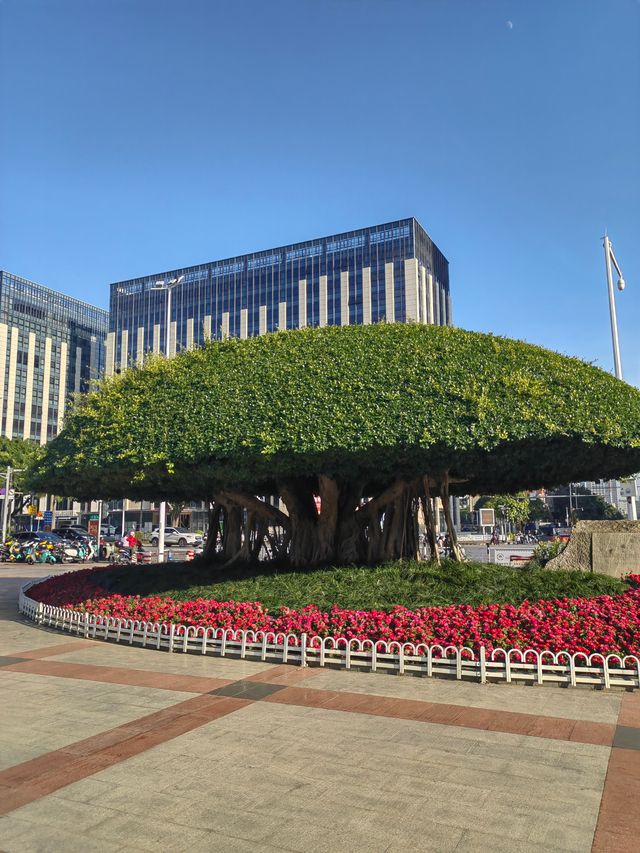 南寧南湖|闖入綠野仙蹤城市綠肺漫步指南! 必去理由 南寧人的後花園!城市中心的天然氧吧 南寧南湖|闖入綠野仙蹤城市綠肺漫步指南! 必去理由 南寧人的後花園!城市中心的天然氧吧