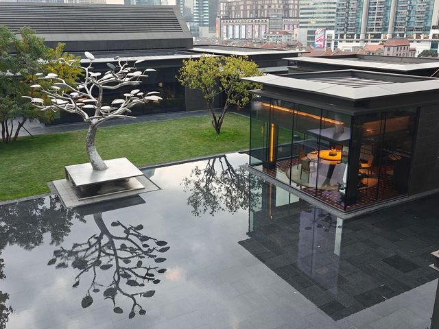 知其燃不知其所以燃，上海阿麗拉酒店