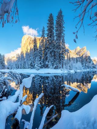 Charter a car to explore California's snowy forest! Customized route departing from San Francisco