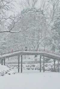 雪落京城，赴一場古今交織的冬日盛宴