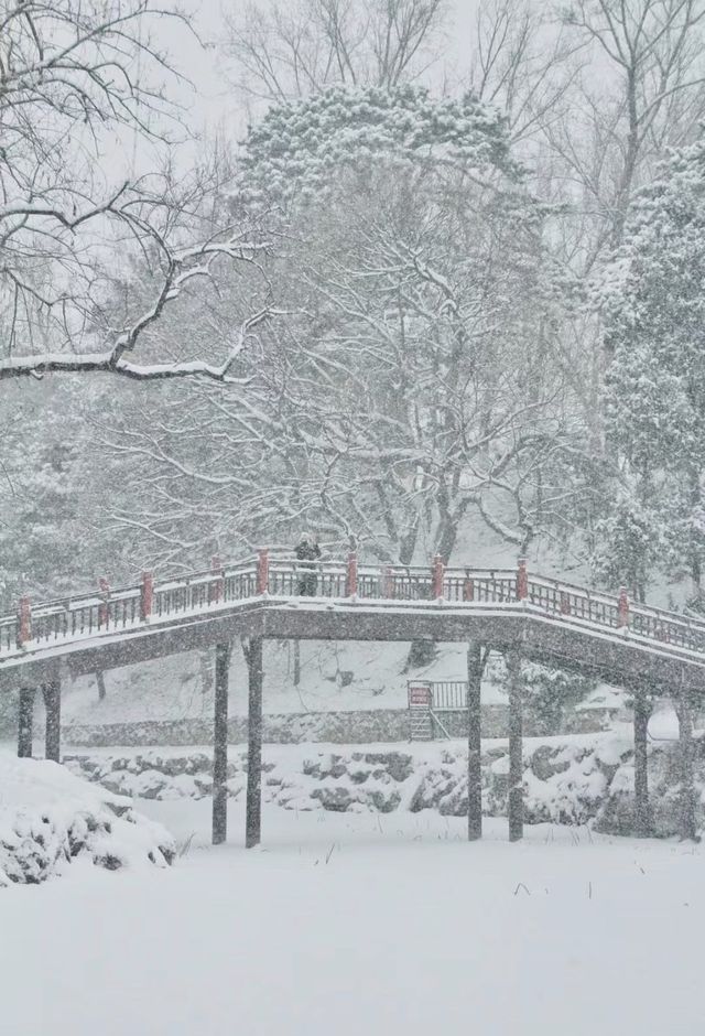 雪落京城，赴一場古今交織的冬日盛宴