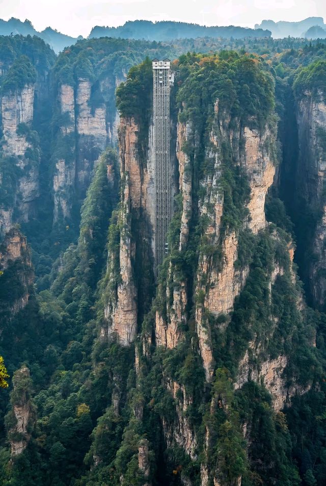 2. 拒絕繞路!張家界國家森林公園+天門山環線,新手也能衝 2. 拒絕繞路!張家界國家森林公園+天門山環線,新手也能衝