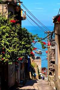 人回來了，心還在霞浦