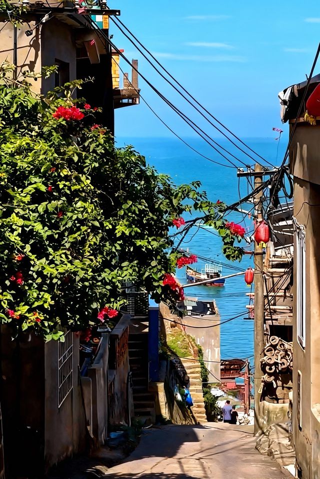 人回來了，心還在霞浦