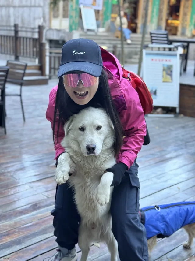 九華山偶遇的狗向導,超有靈性 九華山偶遇的狗向導,超有靈性