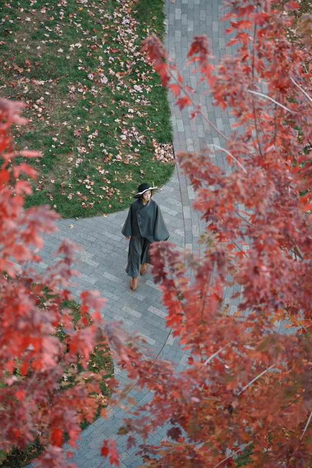 阿那亞金山嶺|72小時枕山而眠 聽風入耳 阿那亞金山嶺|72小時枕山而眠 聽風入耳