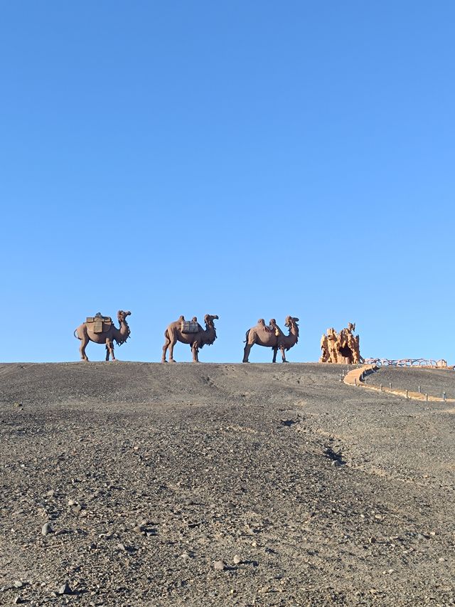 新疆伊吾胡楊秘境