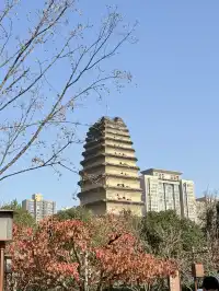 實況link被西安小雁塔的銀杏給驚艷到啦