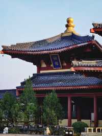 金秋寺廟C位出道保定這個小眾古寺的銀杏美哭了