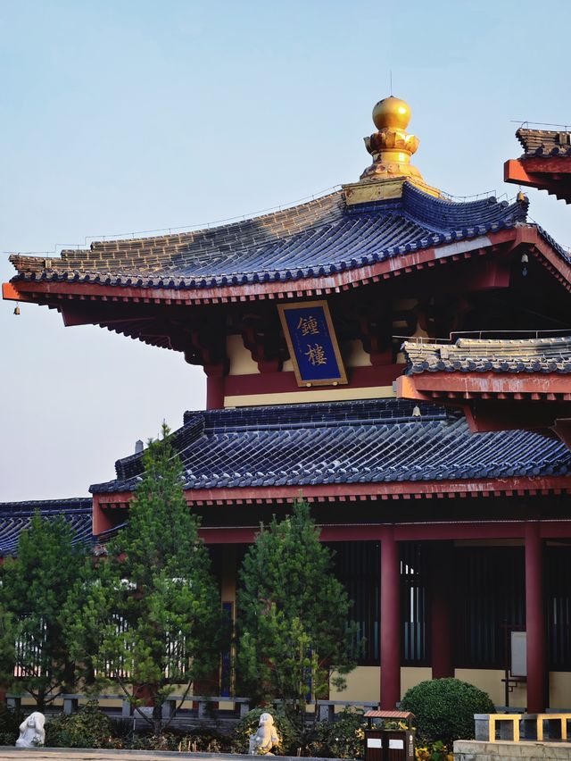 金秋寺廟C位出道保定這個小眾古寺的銀杏美哭了