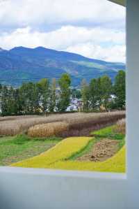 雲南旅行 | 去了沙溪家很出片的咖啡店