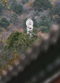 稷山酒店套房攻略