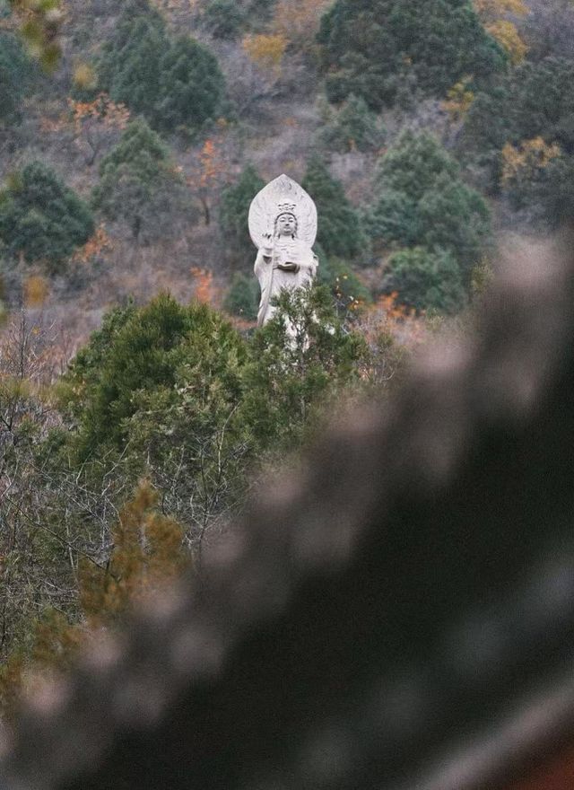 稷山酒店套房攻略