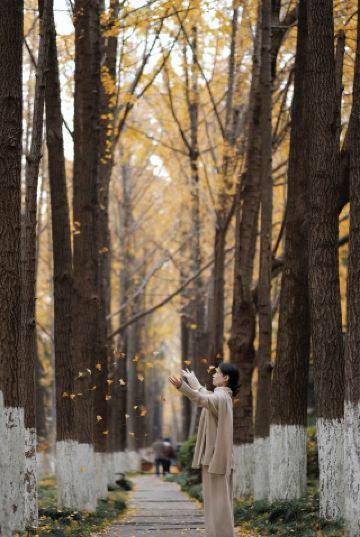 Ginkgo Forest in Hangzhou｜Unlock the golden autumn scenery with a warm star