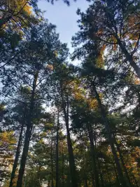 淨月潭也太美了吧！！