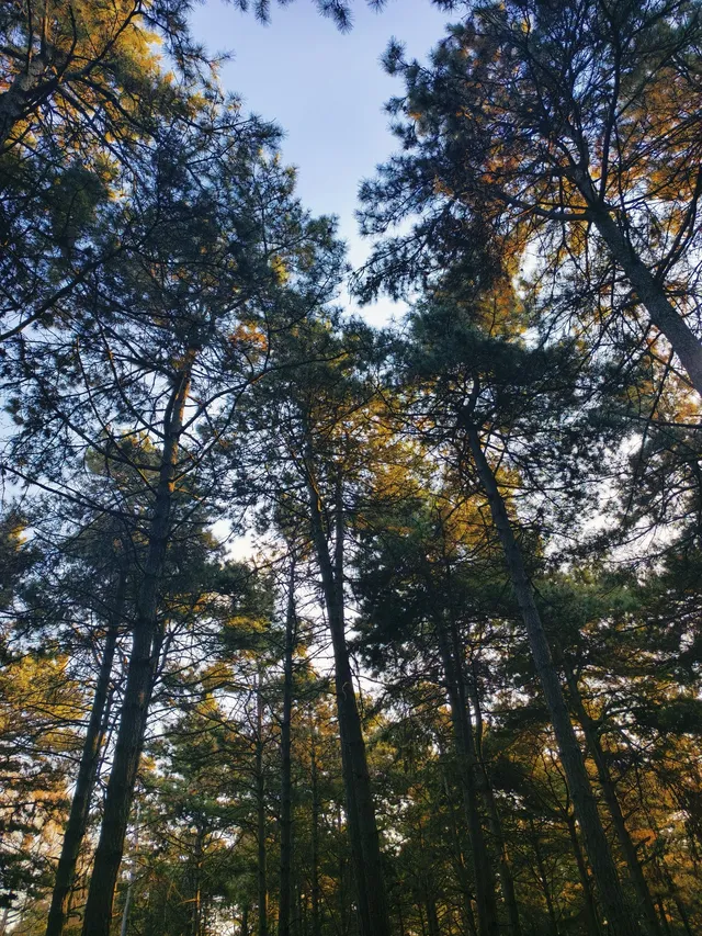 淨月潭也太美了吧！！