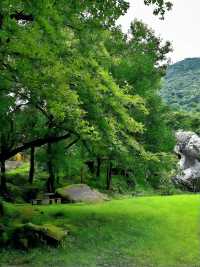 成都-樂山5日遊看這篇攻略就GO啦